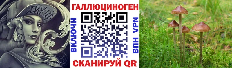 Купить закладки  Черепаново  Псилоцибиновые грибы Psilocybine cubensis 